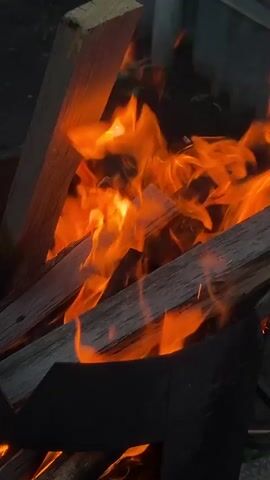 The video shows a close-up view of a fire burning in a dark metal container. Several pieces of wood are visible, some of which are engulfed in flames. The flames are bright orange and yellow, with some areas appearing white hot. The wood is in various stages of combustion, with some pieces appearing charred. The background is dark and out of focus, with some suggestion of foliage. The video is shot from a low angle, looking up at the fire.
