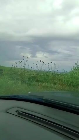 The video shows a view from inside a vehicle looking out through the windshield. The vehicle appears to be moving, as evidenced by the slight blur in the foreground and the changing scenery. The landscape outside is rural, with rolling green hills covered in grass and some taller, spiky plants with round tops. The sky is cloudy and overcast, suggesting possibly approaching rain or a generally gloomy day. The interior of the vehicle is visible in the foreground, with a dashboard and part of the windshield wipers. There are no people visible in the video.