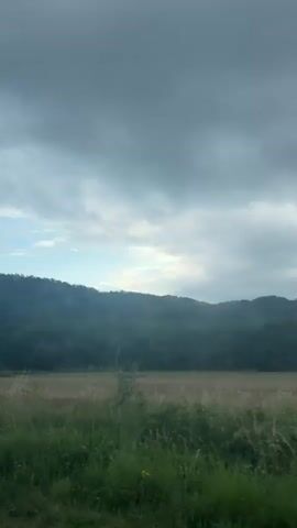 The video captures a landscape scene from a moving vehicle. The foreground is dominated by tall green grass and some flowering plants. Beyond the grass is a field of dry, golden-brown vegetation. In the background, a dense forest covers rolling hills, receding into a hazy distance. The sky is overcast with heavy, gray clouds, but a sliver of lighter sky, suggesting the presence of the sun, is visible near the horizon line between the hills and the clouds. The overall atmosphere is muted and subdued due to the cloudy conditions.