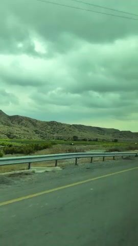 A car is traveling on a road. The road has yellow lines on it and a guardrail on the side. Beyond the road, there is a field of green grass and plants. In the distance, there are mountains. The sky is cloudy and a greenish hue.