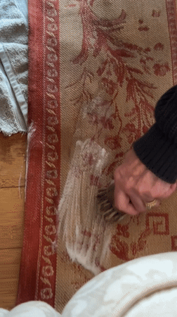 Resident cleans stained rug in Wealden home