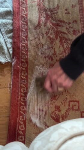 Resident cleans stained rug in Wealden home