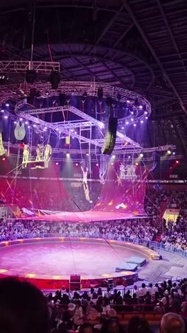 The video shows an aerial performance taking place in a large circus tent. Several performers are suspended from wires and ropes high above a circular stage area. The stage is lit with bright pink and purple lights, and a large audience is seated in tiered seating around the perimeter. The performers are dressed in costumes and are seen in various acrobatic poses, some swinging and others holding onto each other. The overall atmosphere appears to be one of excitement and entertainment, with the colorful lighting and the high-flying acrobatics creating a dramatic spectacle for the audience.