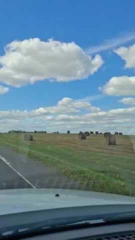 This is a vertical video showing a view from inside a vehicle, looking out through the windshield. The vehicle is on a paved road with a white line marking the lane. To the right of the road is a large, green field with many round bales of hay scattered across it. The field extends to the horizon, where it meets a line of trees. The sky is bright blue with scattered white clouds. The vehicle appears to be moving forward, as evidenced by the slight blur of the landscape and the changing perspective of the hay bales. The camera is positioned to capture the scene directly ahead and slightly to the right. No people are visible in the video.