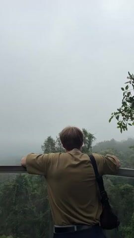 The video shows a person leaning on a railing and looking out at a misty forest. The person is wearing a light brown shirt and a dark bag is slung over their shoulder. The forest is dense with green foliage and appears to be on a mountainside. The sky is overcast and the mist obscures the distance. The camera is positioned behind the person, focusing on their back and the view in front of them.