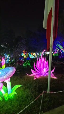 The video shows an outdoor night scene with illuminated art installations. There are brightly lit flowers, mushrooms, and a large animal sculpture in various colors. In the background, a dimly lit area has numerous other installations. The sculptures are placed on a grassy field, and the overall scene creates a magical and whimsical atmosphere.