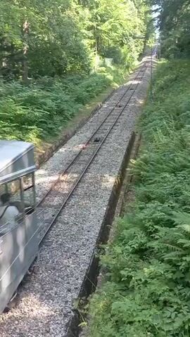 A funicular ascends a steep, tree-lined incline. The funicular is silver with large windows and appears to be carrying passengers. The tracks are gravel-lined. The surrounding environment is dense with green foliage and tall trees. The camera angle is from above and to the side of the funicular, looking down the track as it ascends.
