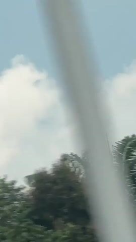 The video shows a view of the sky with clouds and trees. An airplane is visible in the sky and appears to be moving. The camera is likely in motion, as indicated by the blurriness of the trees. The scene is outdoors during the day.