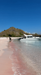 Man and child walk Indonesian pink sand beach