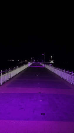 Burgas pier and Sea Garden glow under purple lights at night