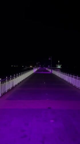 Burgas pier and Sea Garden glow under purple lights at night