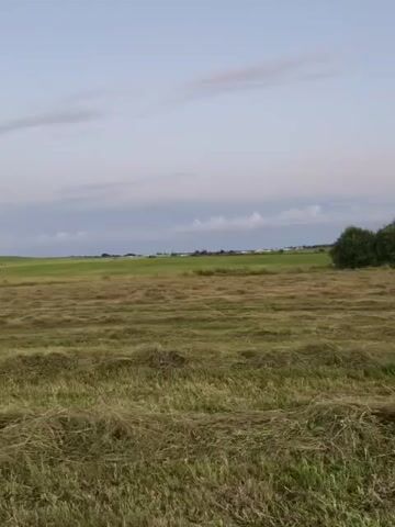 The video shows a panoramic view of a mown field with hay rows. The sky is a pale blue with scattered clouds. In the distance, there are rolling hills, trees, and a few houses. The camera pans across the landscape, capturing the vastness of the field and the rural setting. The lighting suggests it is either early morning or late evening.