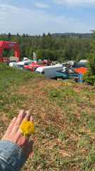 Early morning dirt bike gathering features dandelion picking in Krasnokamsk