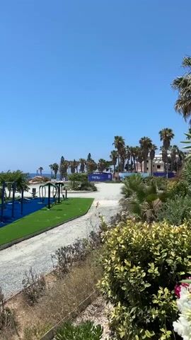 This is a vertical video filmed outdoors on a bright, clear day. The camera pans from right to left. In the foreground, there is a gravel path lined with dry grass and some green shrubbery. Further into the scene, there is a paved walkway with a bench and a lone palm tree on the right. To the left, there is an outdoor exercise area with equipment like pull-up bars and monkey bars, situated on bright blue matting surrounded by artificial grass. Beyond the exercise area, a body of water, likely the sea, is visible with small waves gently lapping at the shore. In the distance, there are more palm trees and some buildings, including one with "HOTELS" written on it. The sky is a clear, vibrant blue with no clouds visible.