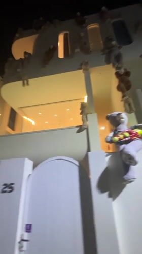 Teddy bear-decorated building spotted in Pattaya nighttime scene