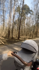 Woman with stroller enjoys morning walk in Moscow forest