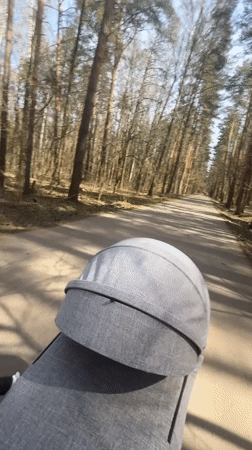 Woman with stroller enjoys morning walk in Moscow forest