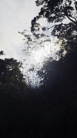 Morning nature documentation recorded in Nam Ninh Hoa, Vietnam