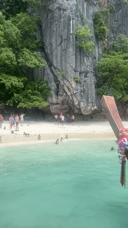 Monkeys and beachgoers share the shoreline at Ton Sai