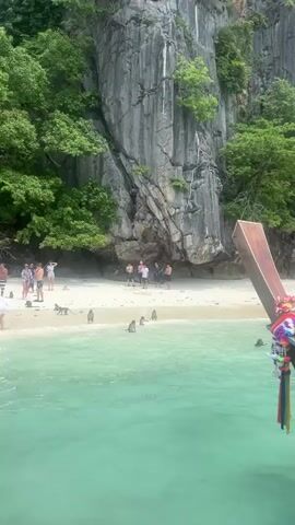 A group of people stand on a sandy beach in front of a rocky cliff face covered in green foliage. Several monkeys are in the shallow, clear turquoise water near the shore, and some are on the beach. The viewpoint is from a boat, with the wooden prow of the boat and some colorful tassels visible in the foreground on the right.