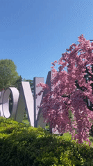 Tourist documents spring day sightseeing in downtown Sochi