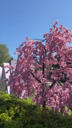 Tourist documents spring day sightseeing in downtown Sochi
