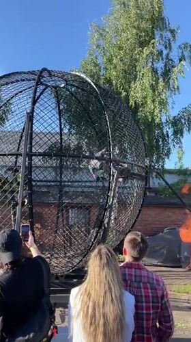 Rockabilly festival in Saint Petersburg with live music and stunt riding