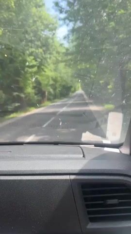 The video shows a first-person perspective from inside a car driving down a tree-lined road in Łódź, Poland. The road is paved and has a white dashed line down the center. The trees on either side of the road are lush and green, forming a canopy over the road, suggesting it is spring or summer. The weather appears to be sunny, with dappled light filtering through the leaves. The time of day seems to be daytime, likely morning or afternoon.

The dashboard of the car is visible in the foreground, with a dark, textured surface and air vents. A small yellow triangular road sign is visible on the right side of the road, indicating a warning. There are some papers visible on the windshield, one of which has some text that is too blurry to read.

The audio contains spoken Polish words, including "jedziemy" (we are driving), "wkurwiony" (furious/pissed off), and "ku**wa" (a vulgar expletive). The tone of the voice suggests frustration or anger, contrasting with the seemingly peaceful scenery outside. The phrase "jutro rano" (tomorrow morning) is also spoken, hinting at future plans.

Overall, the media depicts a car journey through a scenic, tree-covered road in Łódź, with the spoken audio conveying a sense of annoyance or frustration from the driver.