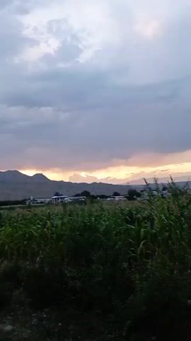 This media file captures a scenic view of a rural landscape at dusk. The foreground is dominated by a lush green field, likely a crop such as corn, with dark foliage in the immediate foreground. In the middle ground, a few structures, possibly buildings or houses, are visible amidst the greenery, suggesting a small settlement or village. Beyond the settlement, a range of rolling hills or mountains forms the backdrop.

The sky is filled with dramatic clouds, a mix of dark grays and lighter shades, with a band of warm, golden light peeking through near the horizon. This indicates that the sun is either setting or has just set, casting a soft glow over the landscape. The overall atmosphere is serene and peaceful, with a touch of melancholy often associated with twilight.

There are no people or specific objects of interest clearly discernible in the image. The activity, if any, is implied by the setting – a quiet evening in a rural area. The location cues, such as the mountains and the type of vegetation, along with the provided context of Tash-Kömür City, Kyrgyzstan, place the scene in a Central Asian setting. The weather appears to be partly cloudy, with the dramatic sky suggesting a transition from day to night, possibly after a day of rain or before a change in weather. No text is visible in the media file.