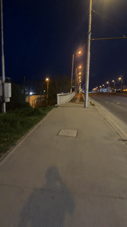 Evening street scenes and dog walking captured in Sofia