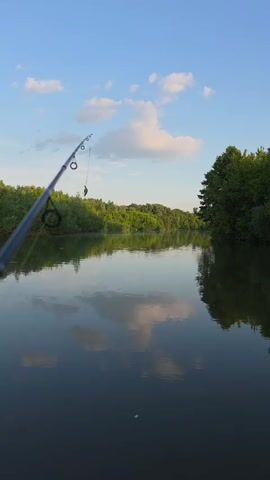 The video shows a first-person perspective of fishing. A fishing rod is angled across the frame from the left side, with the tip of the rod extending upwards and to the right. A fishing line with a lure attached is visible hanging from the tip of the rod. The line is cast into a calm river. The water reflects the blue sky and scattered white clouds, as well as the lush green trees that line the riverbanks on both sides. The trees form a dense wall of foliage. The overall impression is one of a peaceful outdoor setting at dawn or dusk.
