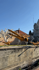 Golden dragonfly sculptures displayed on concrete wall in Denpasar