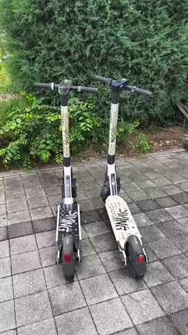 Two electric scooters are parked side-by-side on a paved walkway. The scooters are white and silver with black handlebars. The scooter on the left is slightly closer to the camera and appears to be standing upright. The scooter on the right is positioned slightly behind and to the right of the first scooter, also standing upright. Both scooters have red taillights visible. Behind the scooters is a dense, green shrubbery. The ground is made of interlocking gray pavers. The lighting suggests it is daytime, likely overcast or in shade.