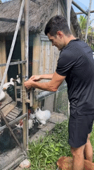Morning farm chores and gym routine documented in Ubud