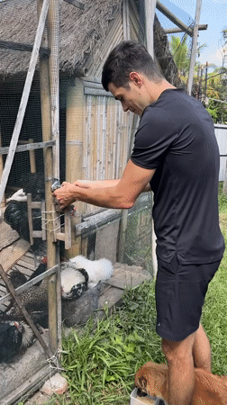 Morning farm chores and gym routine documented in Ubud
