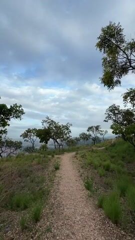 This is a vertical video of a dirt path winding through a grassy hillside dotted with trees. The path is made of light-colored gravel. On either side of the path, there is dry grass and some green vegetation. Scattered trees with green leaves are visible on the hillside, some closer to the path and others further away, receding into the distance. In the background, a city or town can be seen with buildings and a hazy sky. The sky is overcast with a mix of gray and white clouds, with patches of blue visible. The lighting suggests it is either early morning or late afternoon. There are no people or animals visible in the video. The camera appears to be moving forward along the path, creating a sense of walking through the landscape.