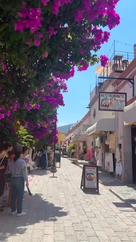The video shows a street view in Mexico on a sunny day.  Purple bougainvillea blossoms hang over the left side of the street, where a group of people stand. A sign for the restaurant "El Mezquite" is visible on the right. Various shops line the street, displaying clothes and food offerings. A brick walkway leads further into the scene, revealing distant mountains under a clear blue sky.  People stroll along the street, engaging in shopping and leisure activities.
