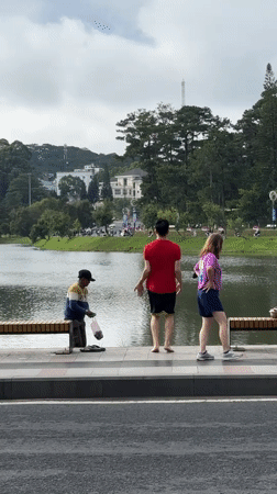 Daily life moments captured across Da Lat, Vietnam
