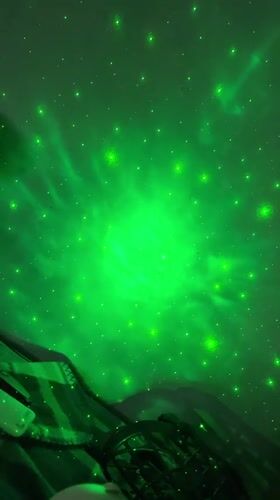 Dogs rest under colorful nebula projections in Russian home