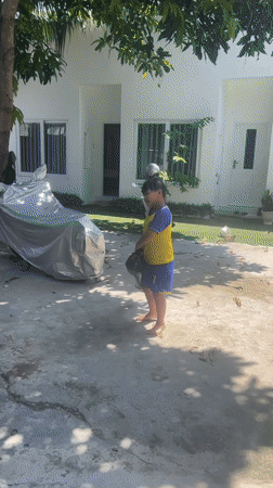 Garden maintenance and yard exploration in Phan Thiet Ward