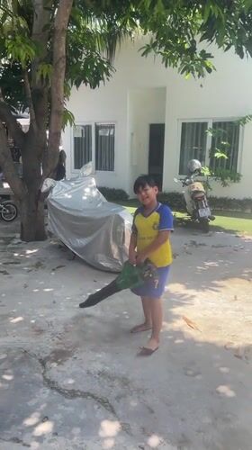 Garden maintenance and yard exploration in Phan Thiet Ward