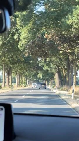 The video shows a first-person view from inside a car driving on a road lined with mature trees that form a canopy overhead. Two cars are visible ahead on the same road. The car in front is a light-colored sedan, and the car behind it is a darker-colored hatchback or SUV. The road is paved and marked with white lines. The trees are deciduous, with full green foliage, indicating it is likely summer or late spring. The sun is shining, casting shadows on the road. The overall environment is rural or suburban, with a natural, tree-lined landscape.