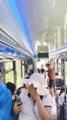 Safari bus tour through Vinpearl's wildlife park on Phú Quốc