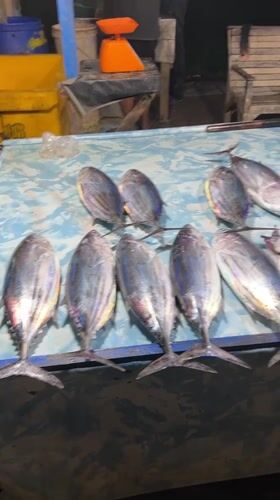Fresh fish market operations documented in Lhokseumawe, Indonesia