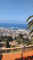 Haifa harbor panorama from a hilltop terrace overlook