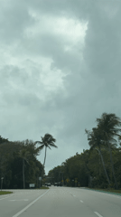 Driver records tree-lined road in Key Biscayne under overcast skies