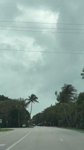 The video captures a view from inside a moving car, driving down a road lined with dense trees and palm trees. The sky is overcast with heavy gray clouds. Several cars can be seen in the distance. The view is focused forward along the road, emphasizing the natural environment. A speed limit sign is visible on the left side of the road, indicating a 40 mph limit. The overall atmosphere is somewhat bleak due to the overcast sky.