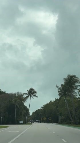 Driver records tree-lined road in Key Biscayne under overcast skies