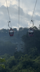 Cable car system operates over Da Lat forests, construction