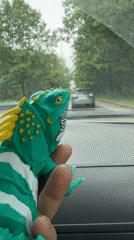 Moscow driver spotted holding toy iguana while driving